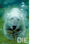 die besorger logo
